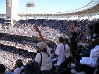 P1010039  Padres win !
