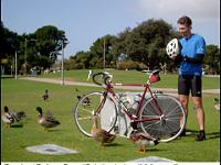 tonyandducks  Tony L. at De Anza Cove. "Only the ducks will follow me!"