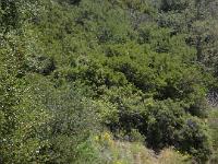 CIMG4573