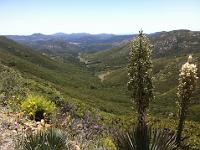 mtLagunaView  Mt Laguna view - getting ready for fiinal descent