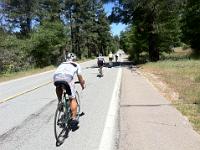 pacelineSR79  Paceline on SR79 - Nerius, Evelyn, ...