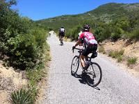 steep22pt5  Twenty-two percent here. Low gears or walk!