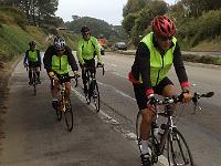 Peloton