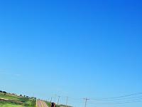 DSC 0471