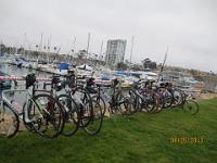 IMG 0779