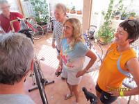 2014 Cruisers - Tonis Workshop