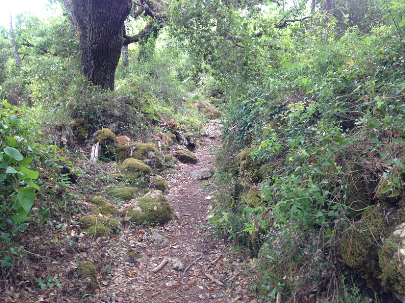 One of many paths