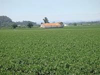 A wonderful farm
