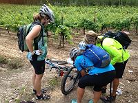 Flat in the vineyards : Photo Stream