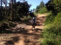 One of many trails : Photo Stream