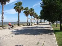 One of our nicer paths