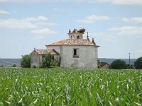 Storks on top of Monastary
