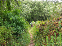 path3