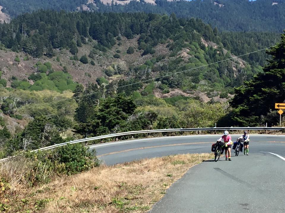 Anchor Bay climb - 17 percent!