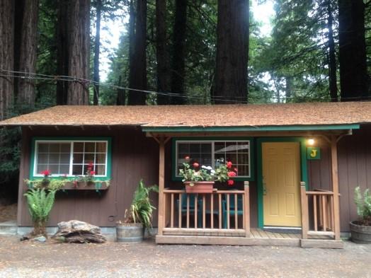 Forest cottage in the Redwoods
