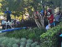 2024-10-30 Image 82