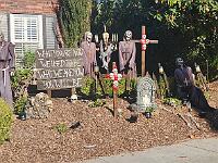 2024-10-30 Image 86