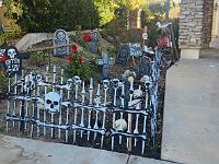 2024-10-30 Image 92