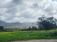 2025-04-02 Image 7