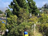 2025-01-29 Image 12