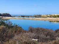 2025-01-29 Image 8