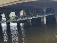 2025-03-05 Image 4