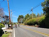 2025-03-19 Image 11