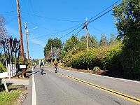 2025-03-19 Image 6