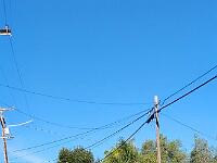 2025-03-19 Image 7