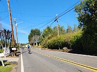2025-03-19 Image 8
