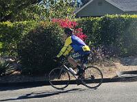 2025-02-22 Image 10