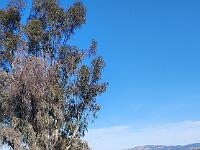 2025-02-22 Image 3