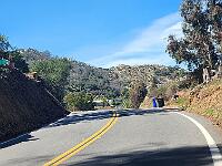 2025-02-22 Image 37