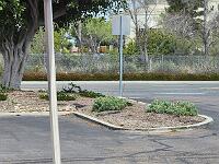 2025-03-29 Image 39
