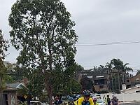 IMG 1743