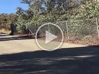 IMG 3429