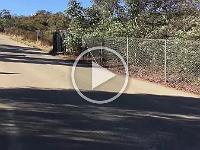 IMG 3430