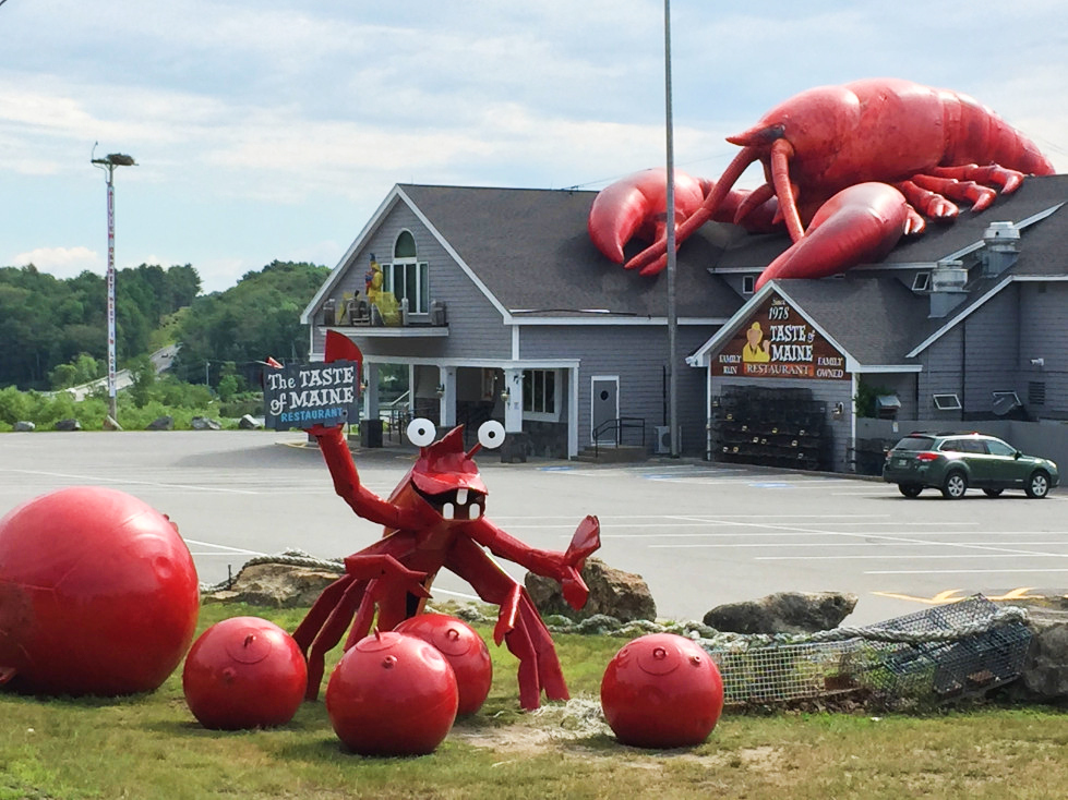 Beths lobster hunt